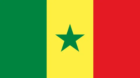 约基奇与锡安闪耀，掘金轻取鹈鹕豪取38+10+28分佳绩