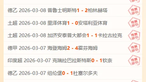 尼克斯对猛龙赛事精华推荐